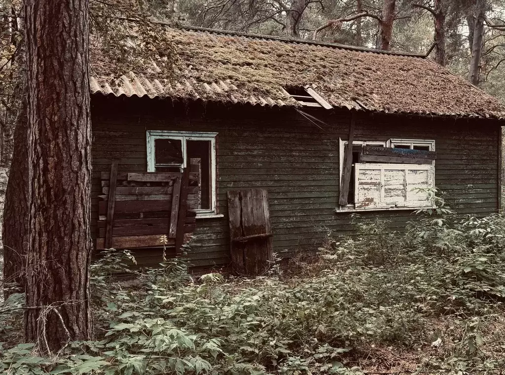 Помещение свободного назначения в Омская область, Омский район, ... - Фото 1