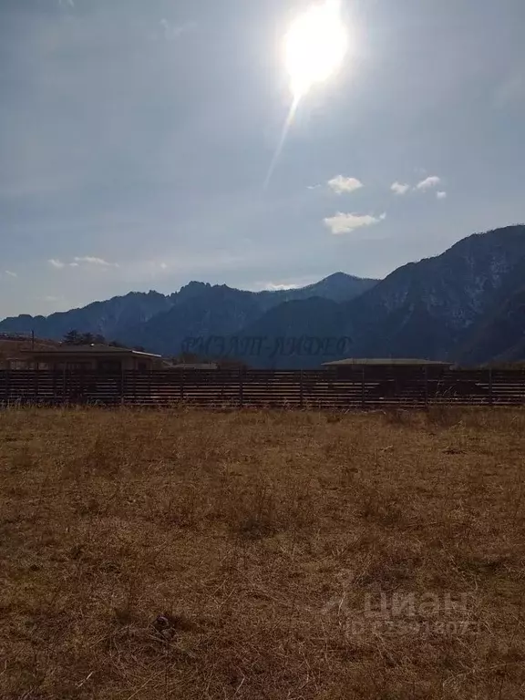 Участок в Алтай, Чемальский район, с. Куюс Центральная ул. (12.0 сот.) - Фото 2