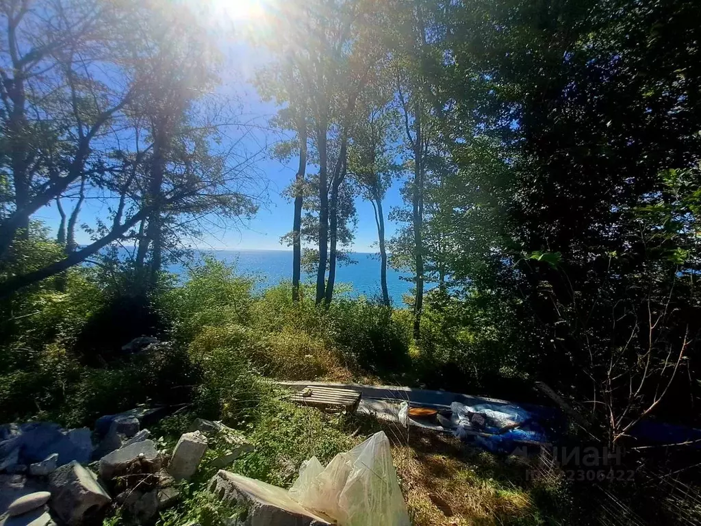 Участок в Краснодарский край, Сочи А-147, 140-й км (12.0 сот.) - Фото 1