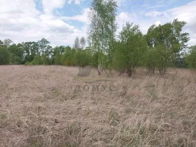Участок в Московская область, Коломна городской округ, д. Андреевка  ... - Фото 1
