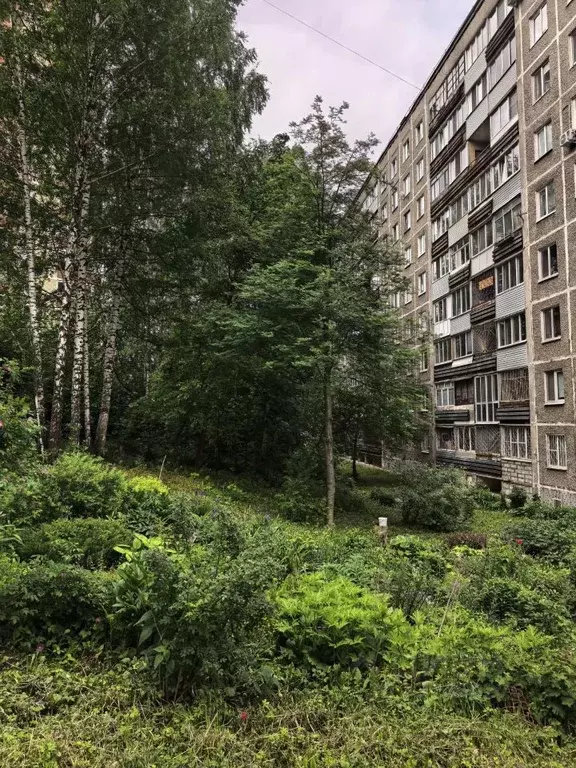 2-к кв. Пермский край, Пермь ул. Яблочкова, 31 (45.0 м) - Фото 1