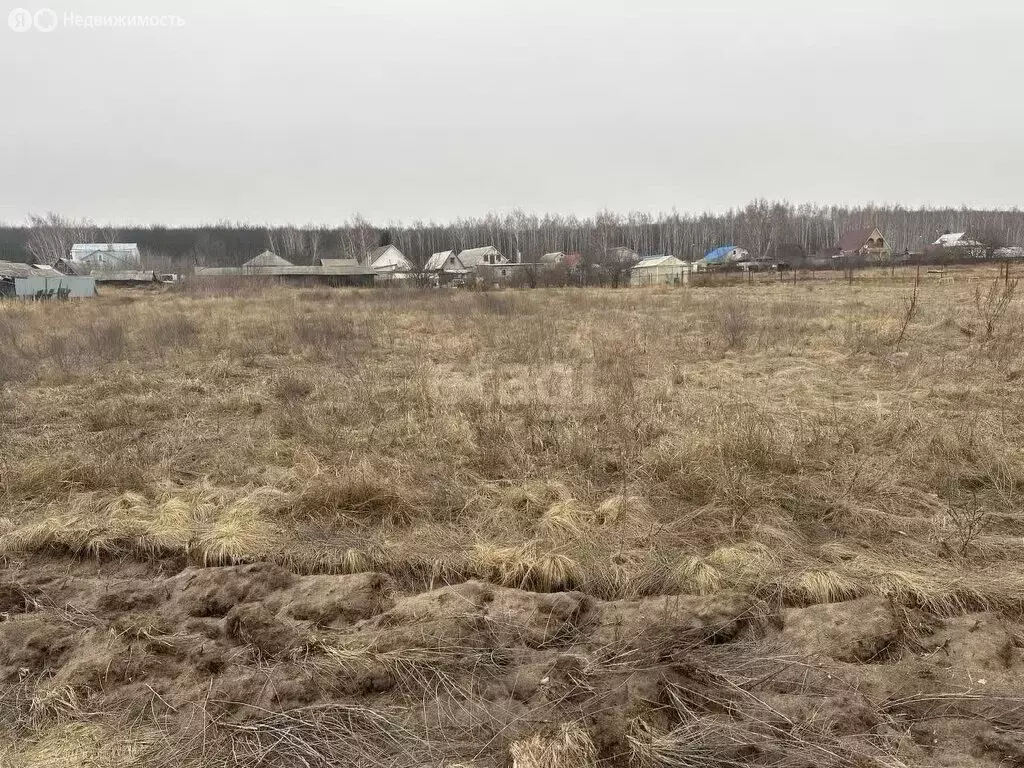 Участок в Старооскольский городской округ, хутор Чумаки, 1-й Луговой ... - Фото 1