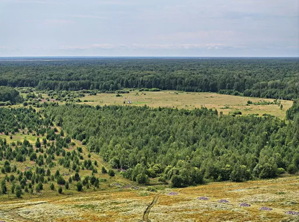 Участок в Тюменская область, Тюменский район, с. Луговое ул. Троицкая ... - Фото 1