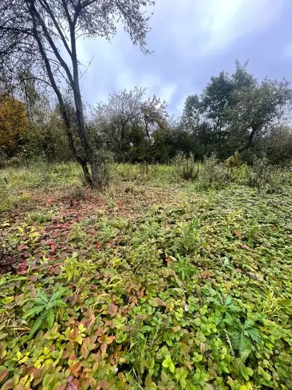 Участок в Владимирская область, Александров АРЗ-1 СНТ,  (7.0 сот.) - Фото 1