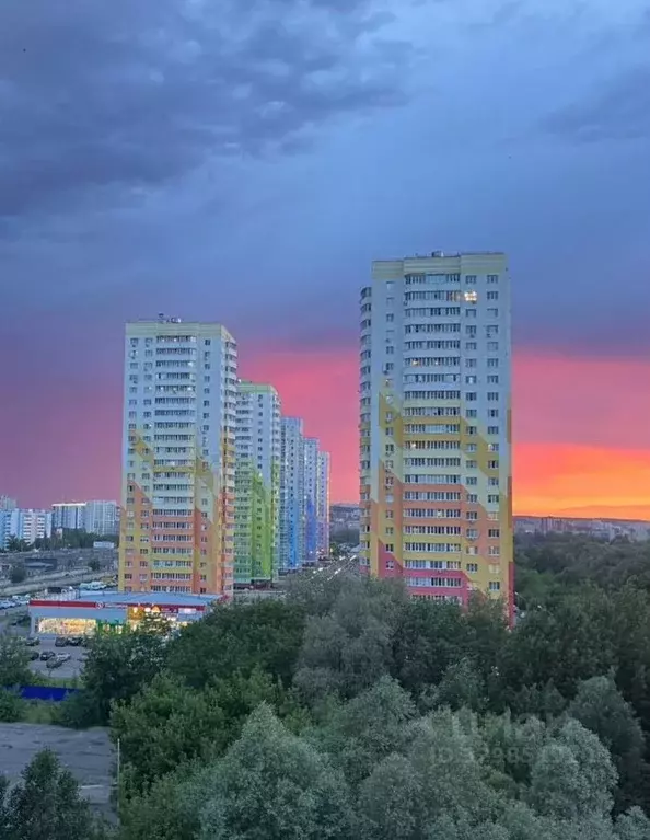 Студия Пензенская область, Пенза ул. Антонова, 5П (29.0 м) - Фото 1