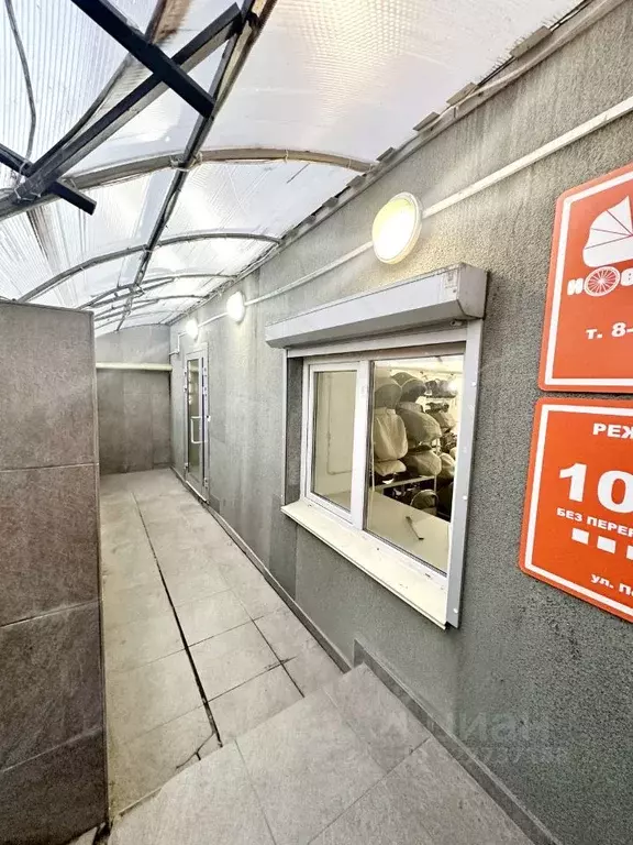 Торговая площадь в Новосибирская область, Новосибирск ул. Покрышкина, ... - Фото 0