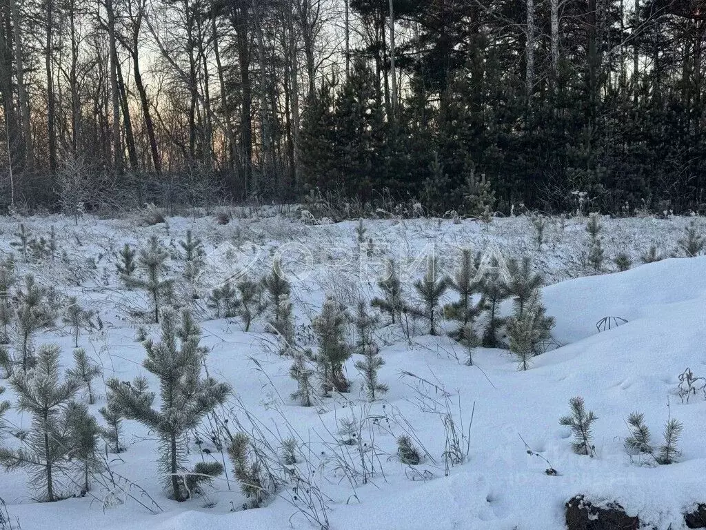 Участок в Тюменская область, Тюменский район, д. Ушакова Зеленая ул. ... - Фото 1