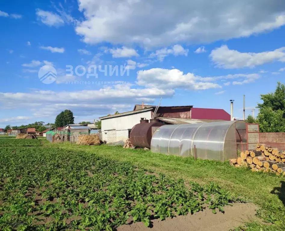 Участок в Чувашия, Канашский муниципальный округ, д. Хунав ул. ... - Фото 0