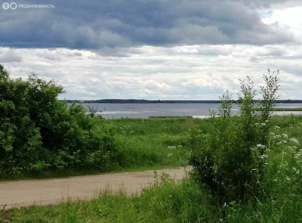 Участок в Кашинский городской округ, деревня Перетрясово (20 м) - Фото 0