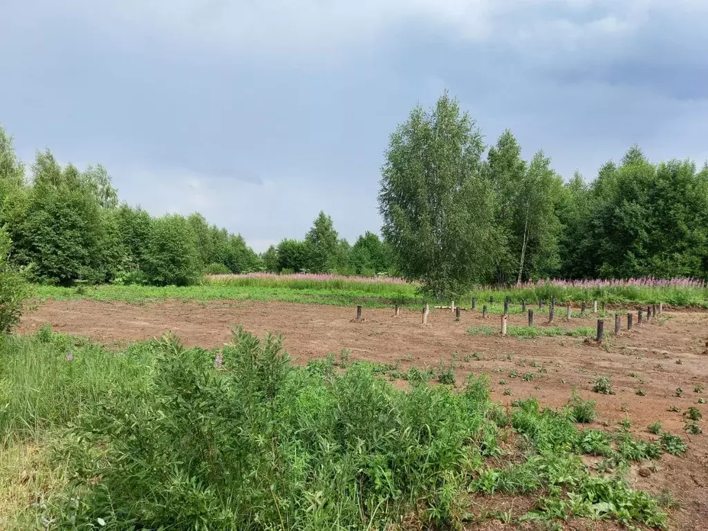 Участок в Московская область, Клин городской округ, д. Синьково  (7.0 ... - Фото 2