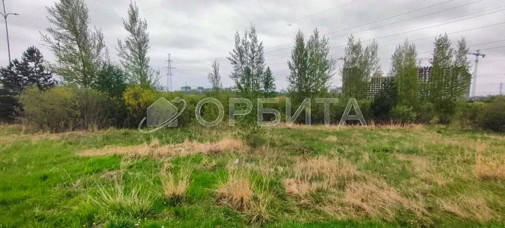 Участок в Тюменская область, Тюменский район Р-404, 23-й км (58.0 ... - Фото 1