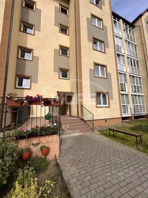 1-к кв. Калининградская область, Светлогорск ул. Спортивная, 2 (39.5 ... - Фото 2