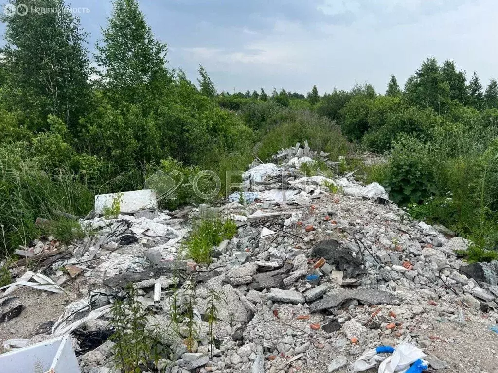Участок в Тюмень, СНТ Ягодное (12.55 м) - Фото 1