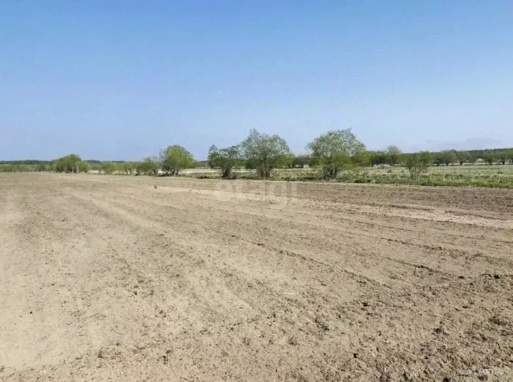 Участок в Сахалинская область, Анивский городской округ, с. ... - Фото 1