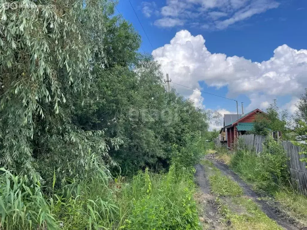 Участок в Новосибирск, садоводческое некоммерческое товарищество ... - Фото 1