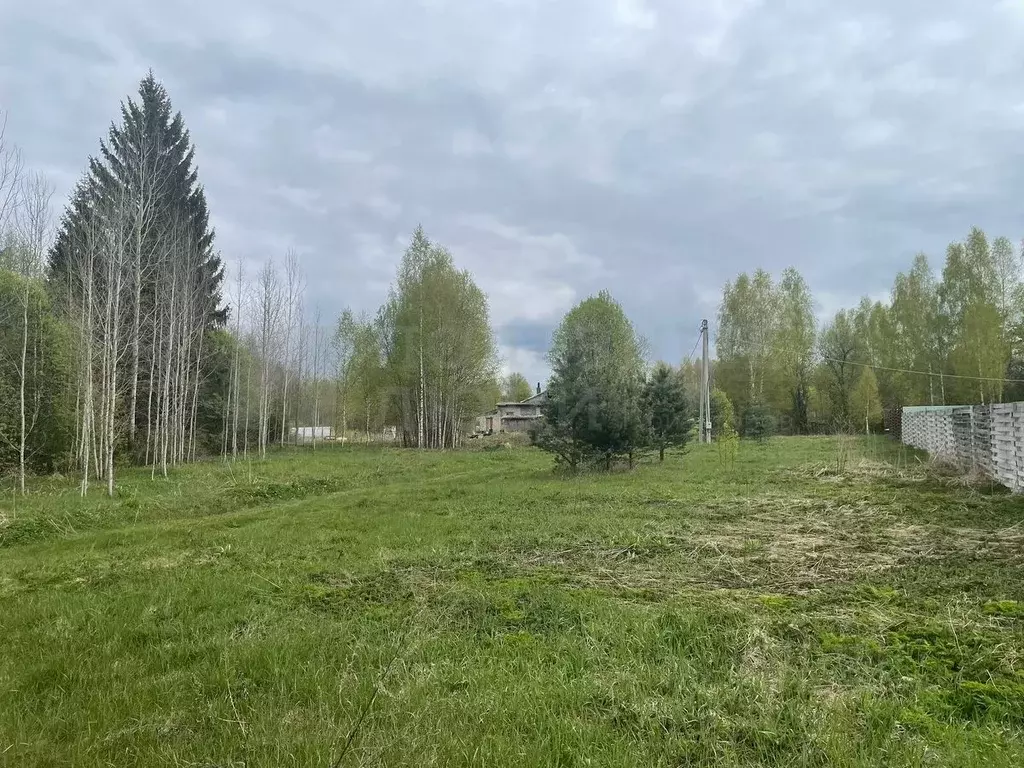 Участок в Новгородская область, Боровичский район, Сушанское с/пос, ... - Фото 2