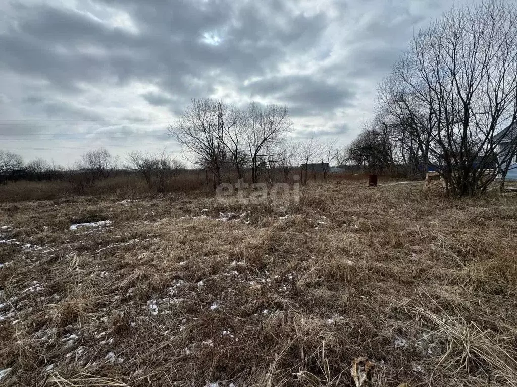 Участок в Приморский край, Артемовский городской округ, с. Кневичи ул. ... - Фото 0