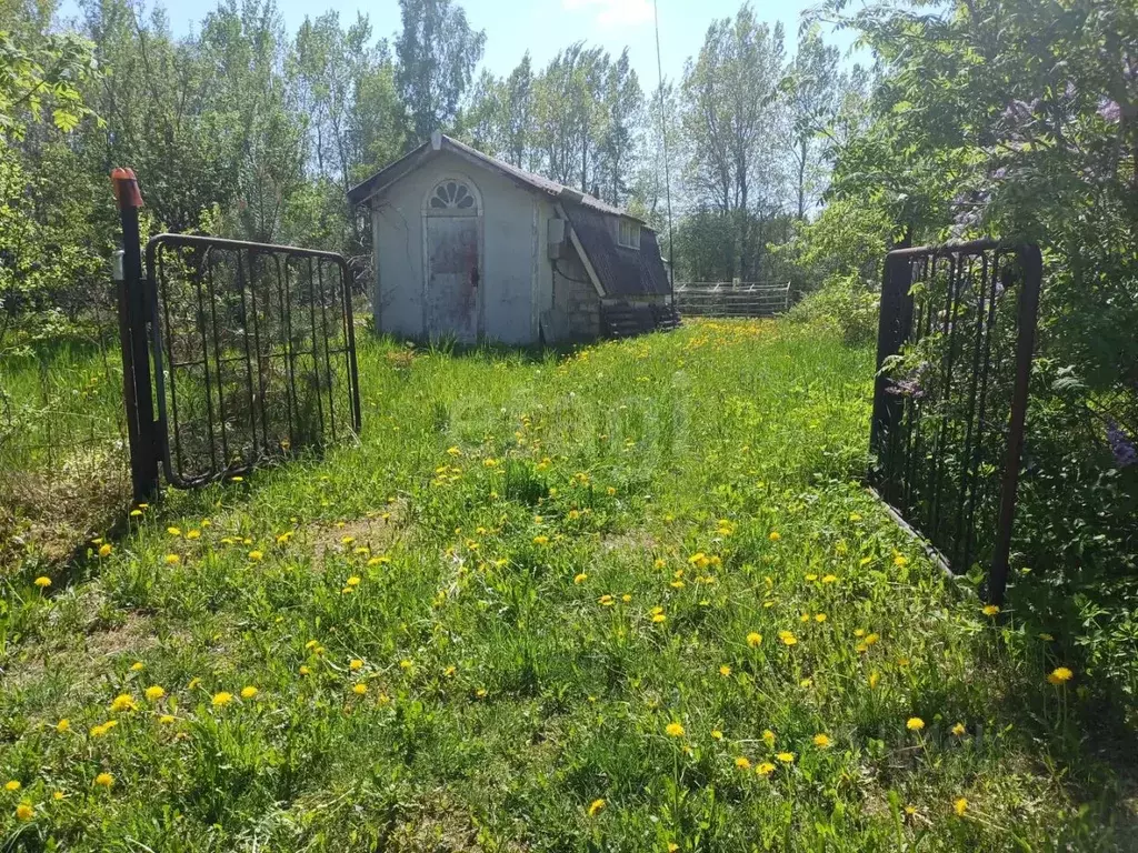 Участок в Псковская область, Псковский муниципальный округ, Милевка ... - Фото 1