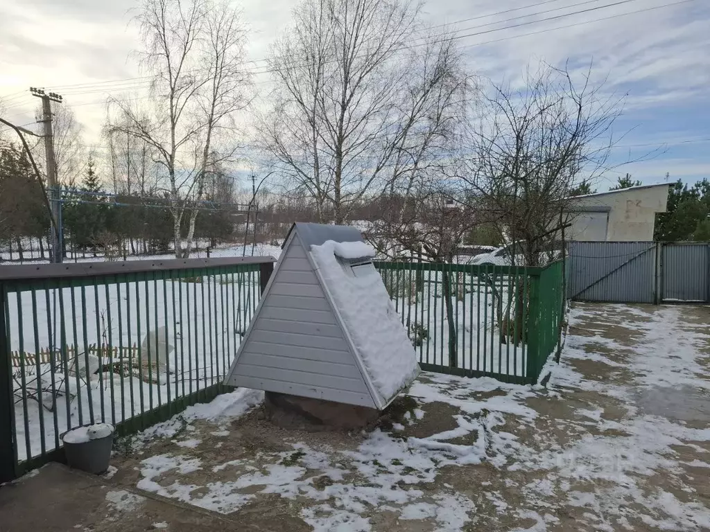 Дом в Псковская область, Невельский муниципальный округ, д. Борки ул. ... - Фото 2