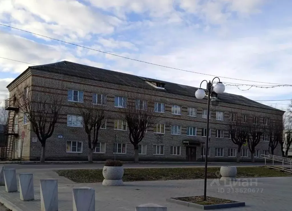 Помещение свободного назначения в Новгородская область, Окуловка ул. ... - Фото 1