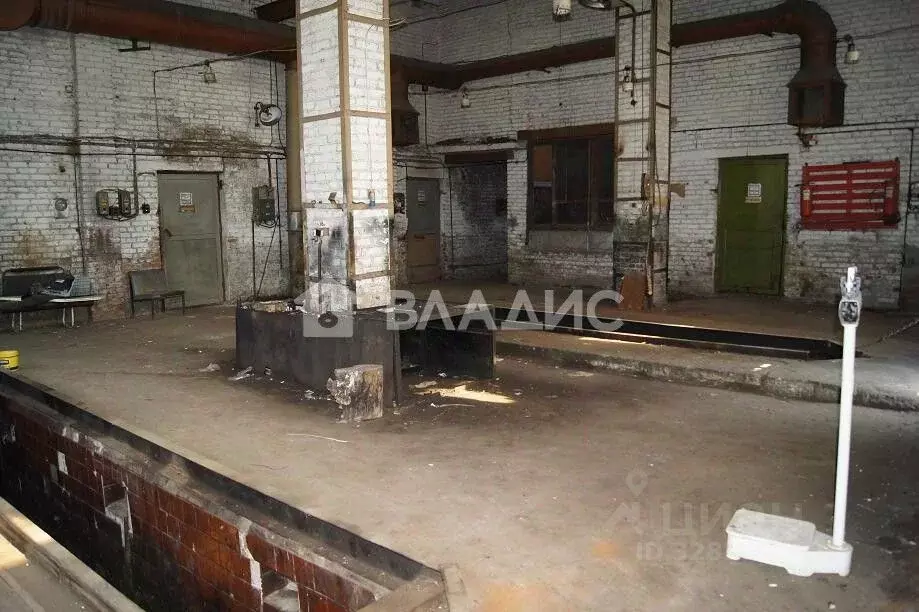 Помещение свободного назначения в Владимирская область, Владимир ... - Фото 2