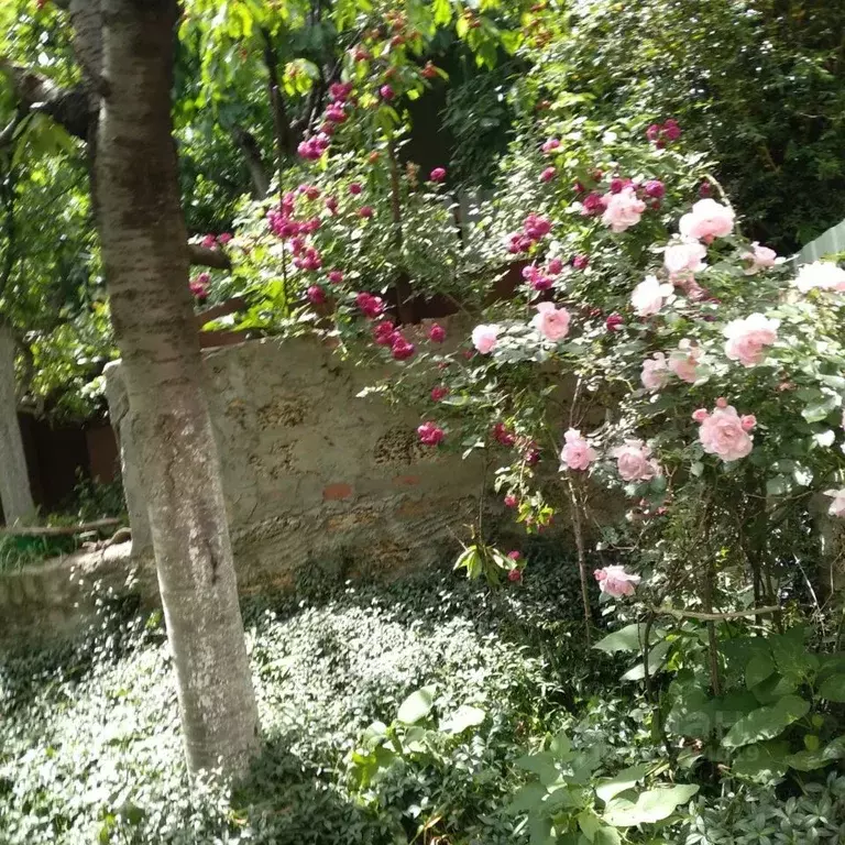 Дом в Ростовская область, Аксайский район, Мишкинское с/пос, пос. ... - Фото 2