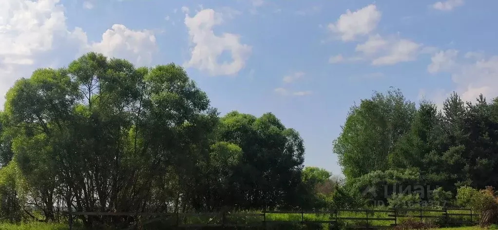 Участок в Московская область, Талдомский городской округ, д. Высочки  ... - Фото 2