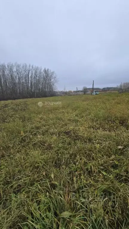 Участок в Чувашия, Чебоксарский муниципальный округ, д. Малый Сундырь ... - Фото 2