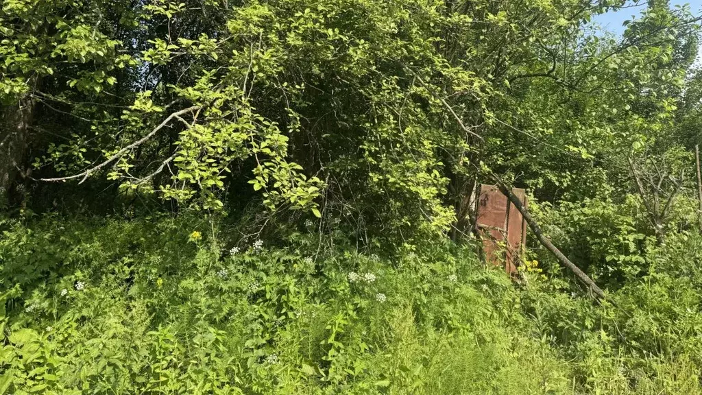 Участок в Северная Осетия, Владикавказ Южный СНО, 194 (6.0 сот.) - Фото 2