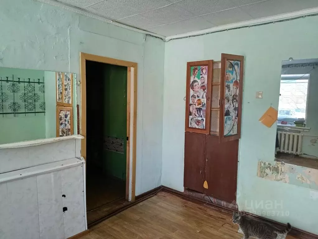 Помещение свободного назначения в Хабаровский край, ... - Фото 2
