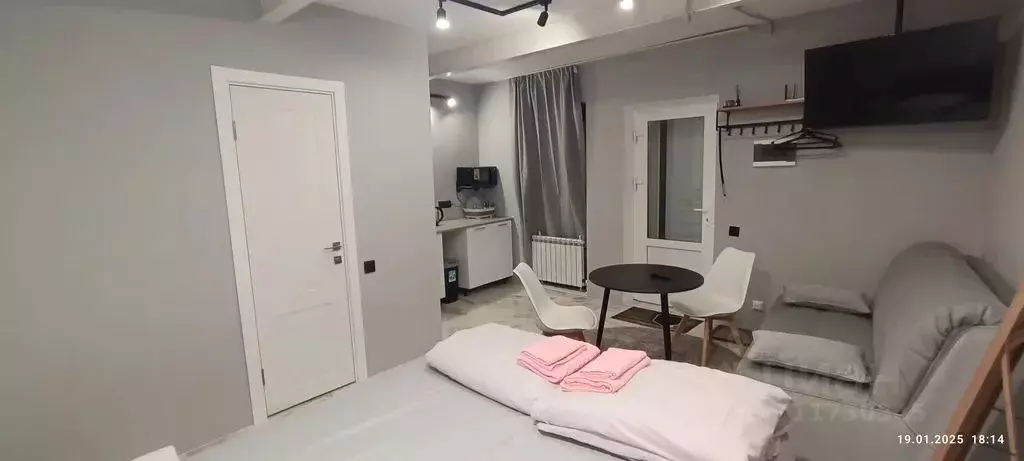 1-к кв. Татарстан, Казань ул. Пушкина, 44Б (20.0 м) - Фото 2