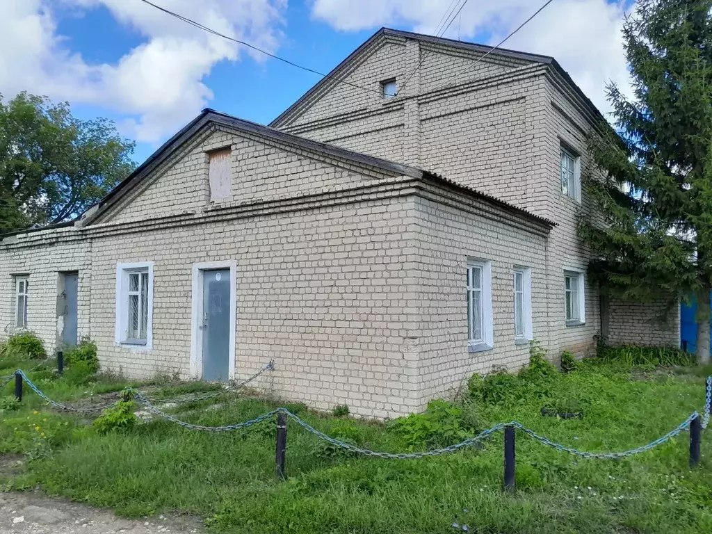 Помещение свободного назначения в Нижегородская область, с. Гагино ул. ... - Фото 1