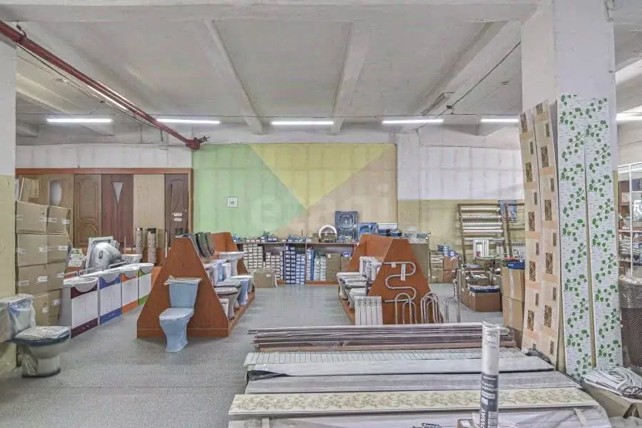 Склад в Сахалинская область, Южно-Сахалинск Мебельный пер., 1А/1 (220 ... - Фото 1