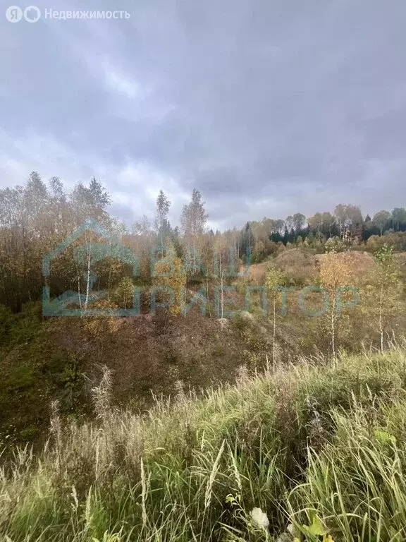 Участок в Калужская область, Боровский муниципальный округ, деревня ... - Фото 2