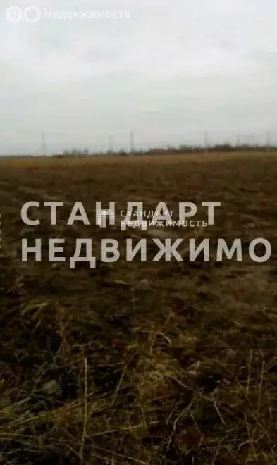 Участок в Тюмень, улица Григория Алексеева (5 м) - Фото 0
