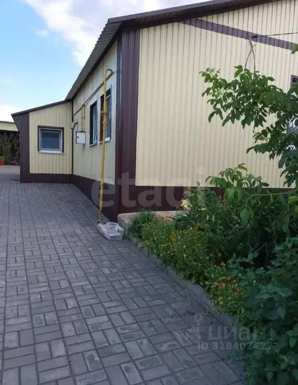 Дом в Белгородская область, Вейделевка рп пер. Фрунзе, 10 (70 м) - Фото 0