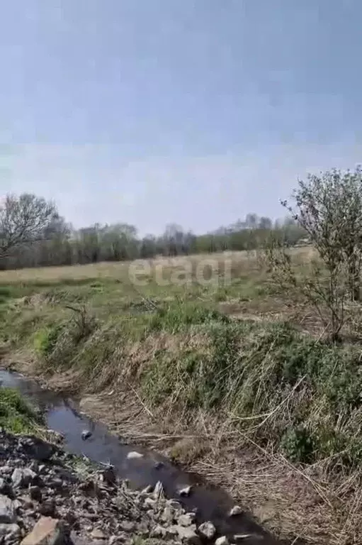 Участок в Сахалинская область, Долинский городской округ, с. ... - Фото 1