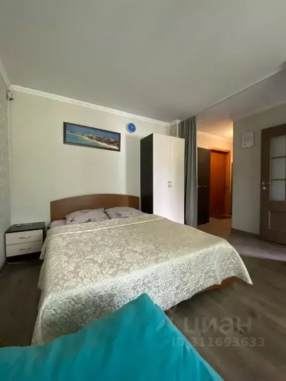 1-к кв. Московская область, Ногинск Богородский городской округ, ул. ... - Фото 1