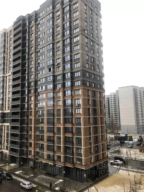 Студия Воронежская область, Воронеж ул. Независимости, 84/4 (24.0 м) - Фото 2