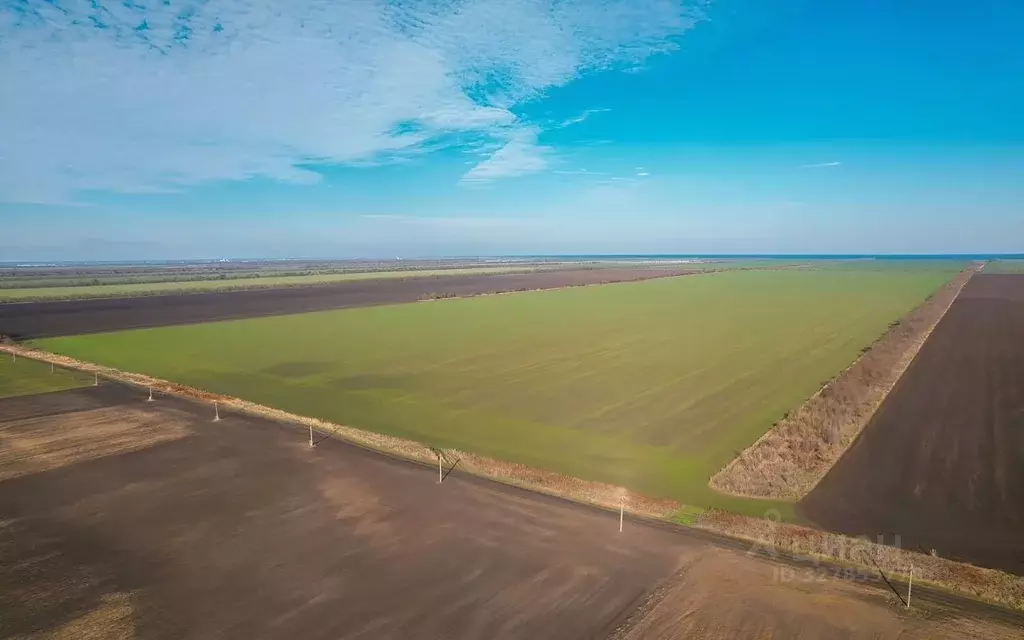 Участок в Краснодарский край, Ейский район, Моревское с/пос, пос. ... - Фото 1