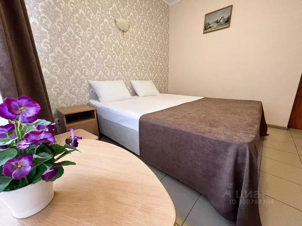Комната Краснодарский край, Сириус пгт ул. Южных Культур, 30 (14.0 м) - Фото 0
