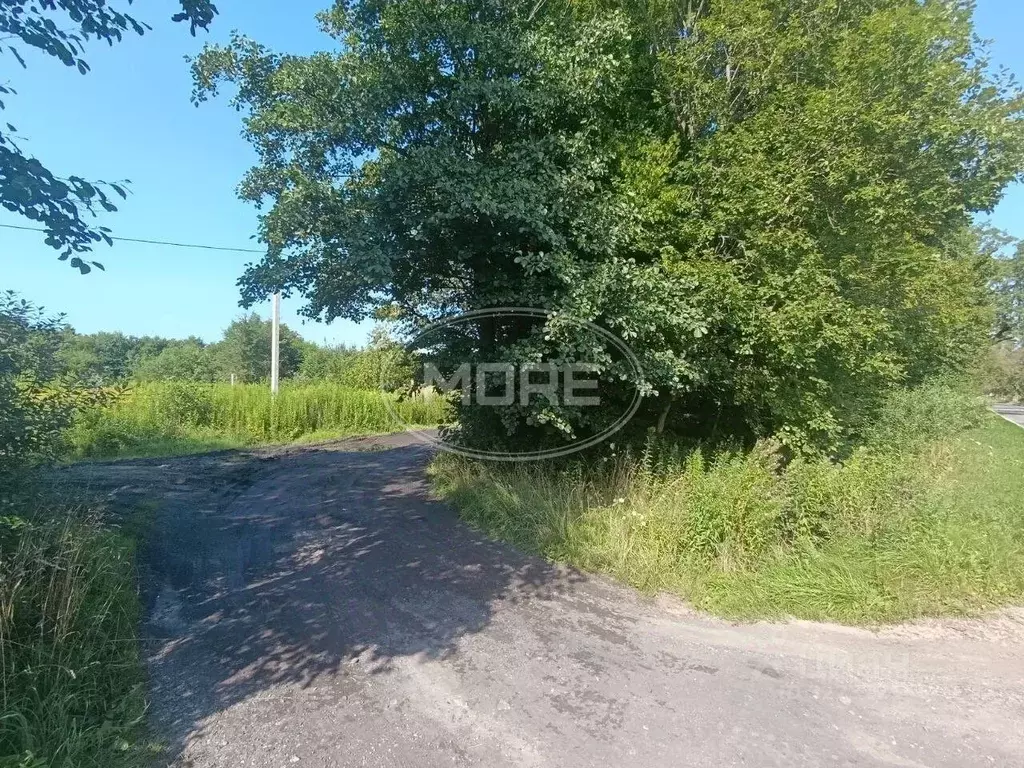 Участок в Калининградская область, Калининград Полет-1 СНТ, ул. ... - Фото 1