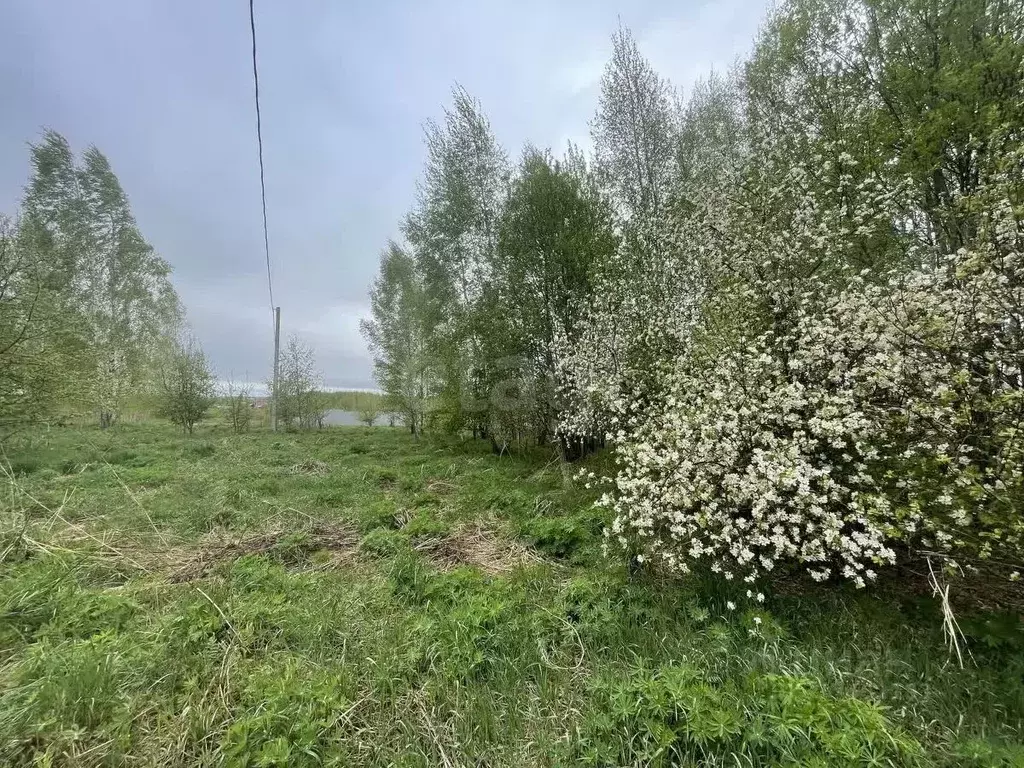 Участок в Смоленская область, Смоленский муниципальный округ, д. ... - Фото 1