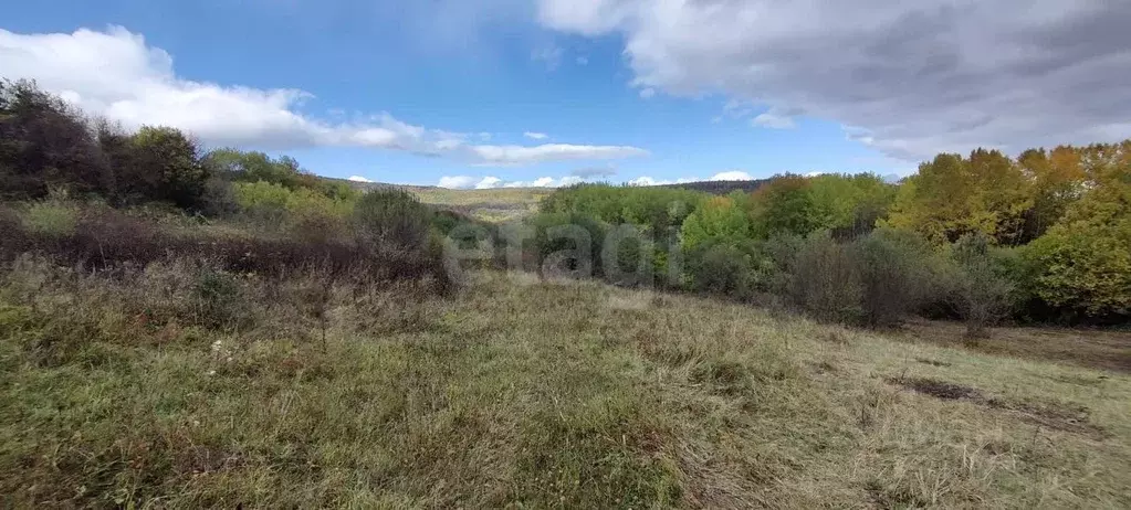 Участок в Адыгея, Майкопский район, Даховская ст-ца  (20.0 сот.) - Фото 1