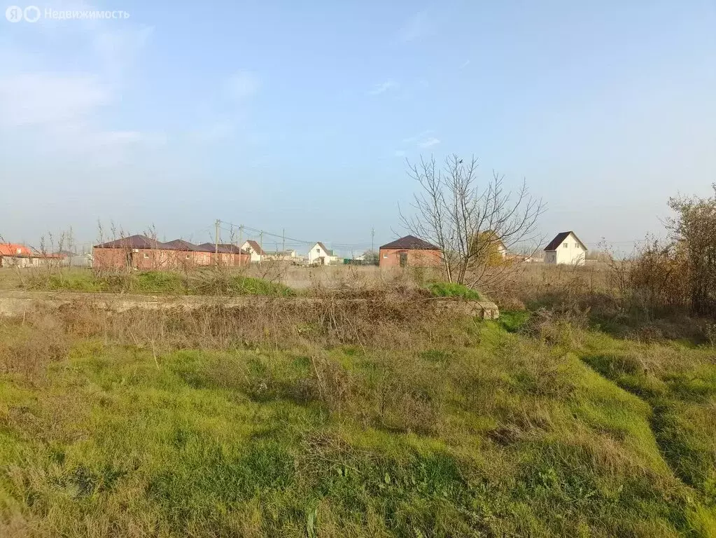 Участок в Белый, Молодёжная улица (20 м) - Фото 2