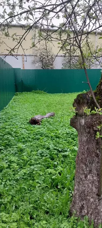 Дом 25 м на участке 4 сот. - Фото 0