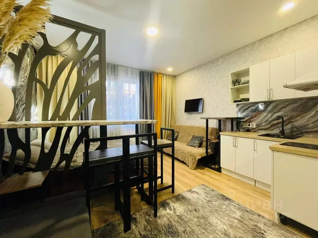 Студия Московская область, Мытищи городской округ, д. Пирогово ул. ... - Фото 1