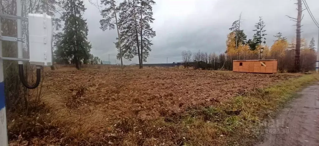Участок в Московская область, Щелково городской округ, пос. Литвиново ... - Фото 2