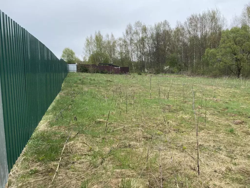 Участок в Московская область, Истра муниципальный округ, д. Родионцево ... - Фото 1