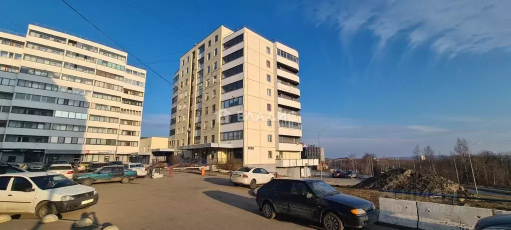 Студия Карелия, Петрозаводск ул. Правды, 38В (35.1 м) - Фото 1